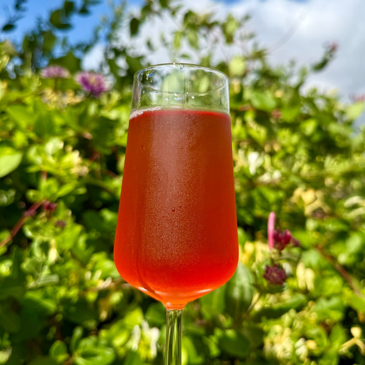 Skovjordbær/salvie-kombucha – F3-metoden