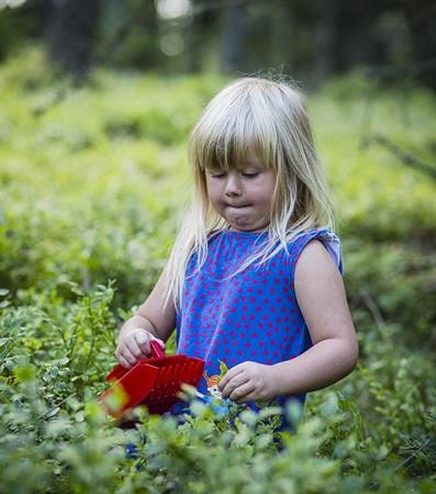 Berry picker, smaller model / children's model, plastic