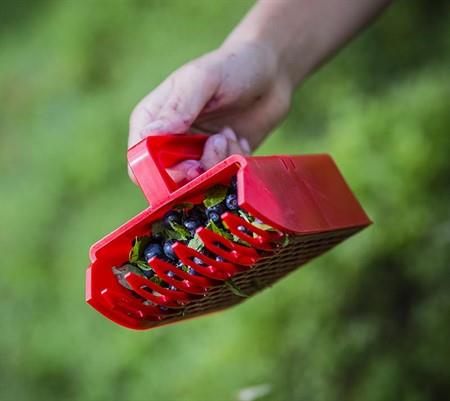 Berry picker, smaller model / children's model, plastic