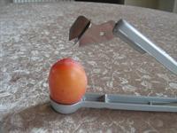 Plum pitter - hand model