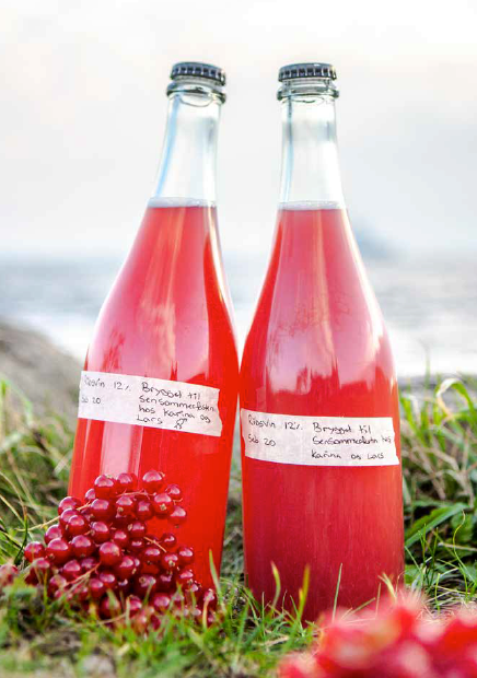 Cider og frugtvin (dansk bok) – mikrobryggning och recept för hemmabruk (André Spange Nabulsi)