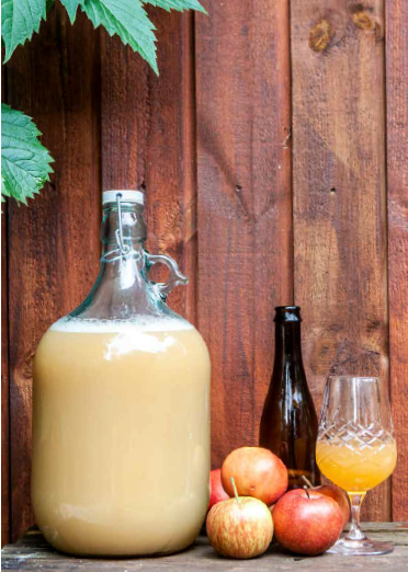 Cider og frugtvin (dansk bok) – mikrobryggning och recept för hemmabruk (André Spange Nabulsi)