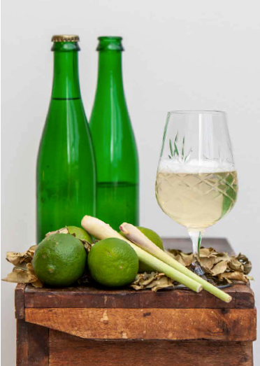 Cider og frugtvin (dansk bok) – mikrobryggning och recept för hemmabruk (André Spange Nabulsi)