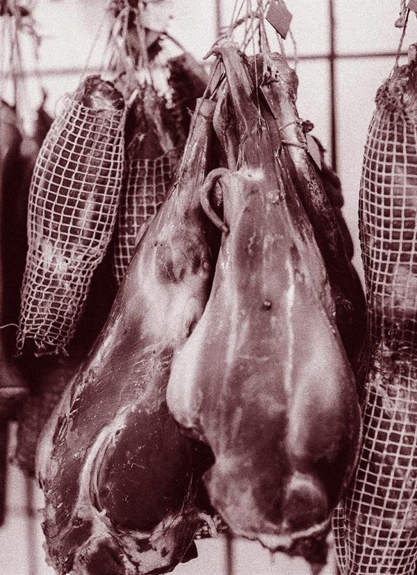 Nordisk charcuteri (Danish-language book) – craft, techniques and recipes (Jens Breinholt Schou)